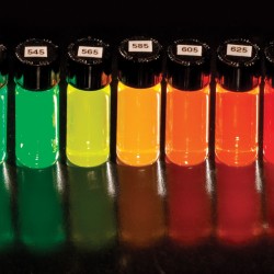 invitrogen corporation