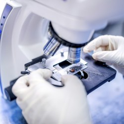 oxford glycosciences