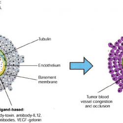 vascular targeting agent