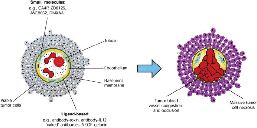 vascular targeting agent